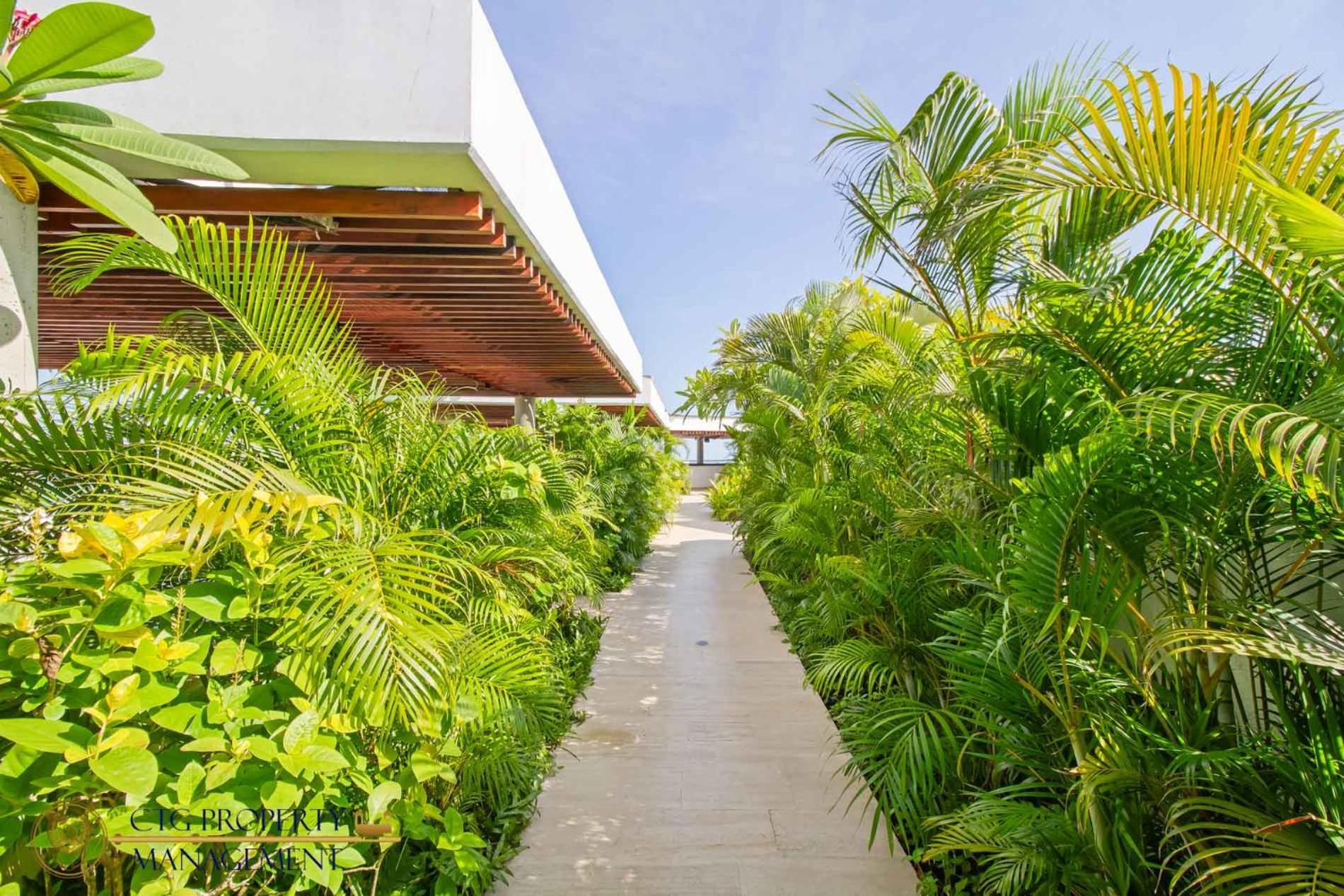 Martinique Cartagena - Apartamentos A Corta Caminata De Playa Azul Exterior foto